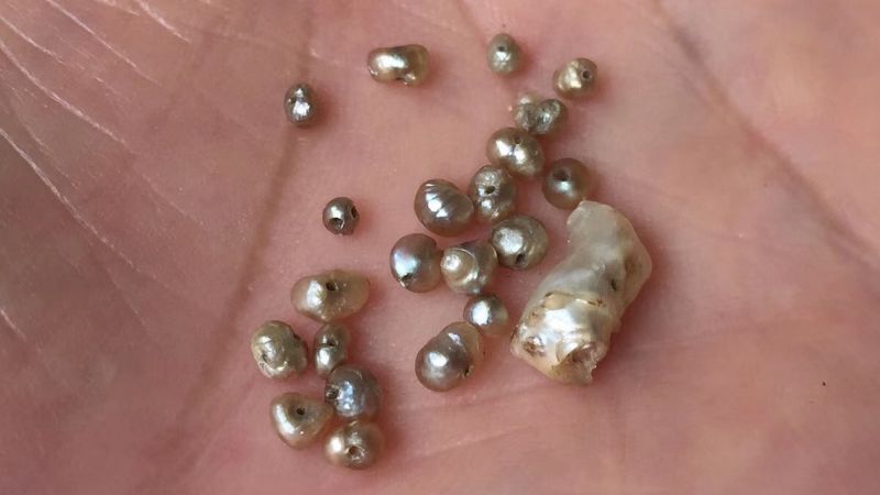 天然珍珠怎么辨别真假