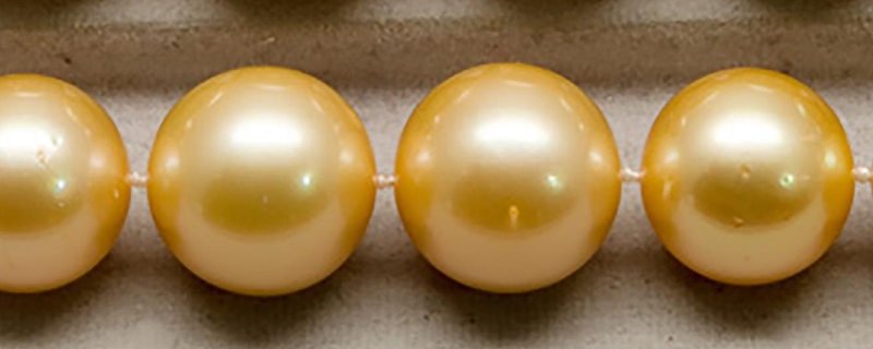 怎么知道金色珍珠有没有染色