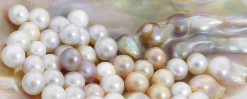 珍珠怎么形成的过程